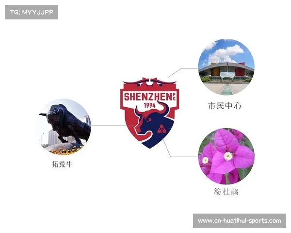 中超俱乐部上市前景分析探索与股票市场的关联性研究 中超俱乐部上市前景分析探索与股票市场的关联性研究